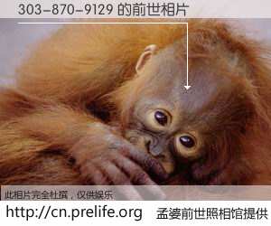 #孟婆前世照相馆# 【303-870-9129 的前世相片】我们都曾从奈何桥上走过,喝下三碗忘川之水烹煮的孟婆汤,忘却了前尘旧事。孟婆前世照相馆,保存着你前世的数码相片。303-870-9129 的前世相片,有图有真相: