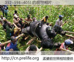 #孟婆前世照相馆# 【352-598-4051 的前世相片】我们都曾从奈何桥上走过，喝下三碗忘川之水烹煮的孟婆汤，忘却了前尘旧事。孟婆前世照相馆，保存着你前世的数码相片。352-598-4051 的前世相片，有图有真相：