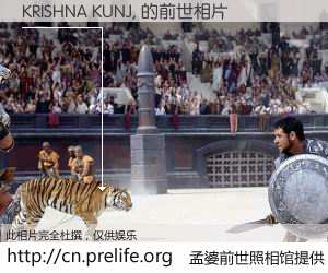 #孟婆前世照相馆# 【KRISHNA KUNJ, 的前世相片】我们都曾从奈何桥上走过，喝下三碗忘川之水烹煮的孟婆汤，忘却了前尘旧事。孟婆前世照相馆，保存着你前世的数码相片。KRISHNA KUNJ, 的前世相片，有图有真相：