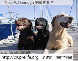 #孟婆前世照相馆# 【Neal McDonough 的前世相片】我们都曾从奈何桥上走过，喝下三碗忘川之水烹煮的孟婆汤，忘却了前尘旧事。孟婆前世照相馆，保存着你前世的数码相片。Neal McDonough 的前世相片，有图有真相：