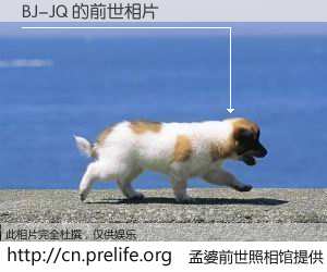 #孟婆前世照相馆# 【BJ-JQ 的前世相片】我们都曾从奈何桥上走过，喝下三碗忘川之水烹煮的孟婆汤，忘却了前尘旧事。孟婆前世照相馆，保存着你前世的数码相片。BJ-JQ 的前世相片，有图有真相：