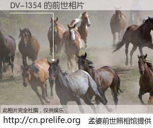 #孟婆前世照相馆# 【DV-1354 的前世相片】我们都曾从奈何桥上走过，喝下三碗忘川之水烹煮的孟婆汤，忘却了前尘旧事。孟婆前世照相馆，保存着你前世的数码相片。DV-1354 的前世相片，有图有真相：