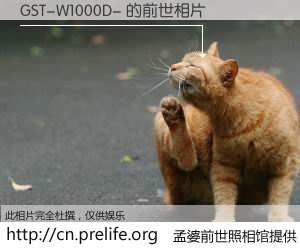#孟婆前世照相馆# 【GST-W1000D- 的前世相片】我们都曾从奈何桥上走过，喝下三碗忘川之水烹煮的孟婆汤，忘却了前尘旧事。孟婆前世照相馆，保存着你前世的数码相片。GST-W1000D- 的前世相片，有图有真相：