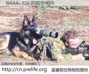 #孟婆前世照相馆# 【WAAA-526 的前世相片】我们都曾从奈何桥上走过，喝下三碗忘川之水烹煮的孟婆汤，忘却了前尘旧事。孟婆前世照相馆，保存着你前世的数码相片。WAAA-526 的前世相片，有图有真相：