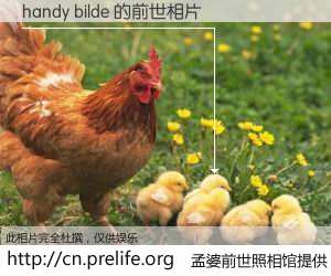 #孟婆前世照相馆# 【handy bilde 的前世相片】我们都曾从奈何桥上走过，喝下三碗忘川之水烹煮的孟婆汤，忘却了前尘旧事。孟婆前世照相馆，保存着你前世的数码相片。handy bilde 的前世相片，有图有真相：