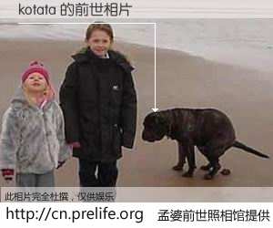 #孟婆前世照相馆# 【kotata 的前世相片】我们都曾从奈何桥上走过，喝下三碗忘川之水烹煮的孟婆汤，忘却了前尘旧事。孟婆前世照相馆，保存着你前世的数码相片。kotata 的前世相片，有图有真相：