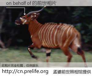 #孟婆前世照相馆# 【on behalf of 的前世相片】我们都曾从奈何桥上走过，喝下三碗忘川之水烹煮的孟婆汤，忘却了前尘旧事。孟婆前世照相馆，保存着你前世的数码相片。on behalf of 的前世相片，有图有真相：