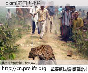 #孟婆前世照相馆# 【alami 的前世相片】我们都曾从奈何桥上走过，喝下三碗忘川之水烹煮的孟婆汤，忘却了前尘旧事。孟婆前世照相馆，保存着你前世的数码相片。alami 的前世相片，有图有真相：