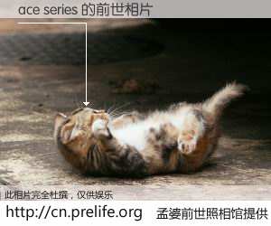 #孟婆前世照相馆# 【ace series 的前世相片】我们都曾从奈何桥上走过，喝下三碗忘川之水烹煮的孟婆汤，忘却了前尘旧事。孟婆前世照相馆，保存着你前世的数码相片。ace series 的前世相片，有图有真相：