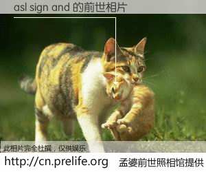 #孟婆前世照相馆# 【asl sign and 的前世相片】我们都曾从奈何桥上走过，喝下三碗忘川之水烹煮的孟婆汤，忘却了前尘旧事。孟婆前世照相馆，保存着你前世的数码相片。asl sign and 的前世相片，有图有真相：