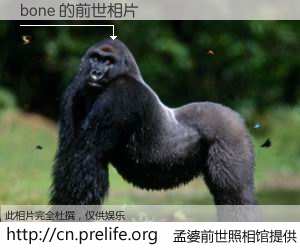 #孟婆前世照相馆# 【bone 的前世相片】我们都曾从奈何桥上走过，喝下三碗忘川之水烹煮的孟婆汤，忘却了前尘旧事。孟婆前世照相馆，保存着你前世的数码相片。bone 的前世相片，有图有真相：
