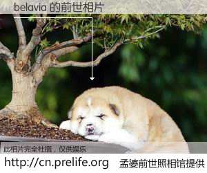 #孟婆前世照相馆# 【belavia 的前世相片】我们都曾从奈何桥上走过，喝下三碗忘川之水烹煮的孟婆汤，忘却了前尘旧事。孟婆前世照相馆，保存着你前世的数码相片。belavia 的前世相片，有图有真相：