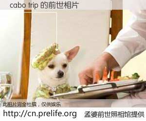 #孟婆前世照相馆# 【cabo trip 的前世相片】我们都曾从奈何桥上走过，喝下三碗忘川之水烹煮的孟婆汤，忘却了前尘旧事。孟婆前世照相馆，保存着你前世的数码相片。cabo trip 的前世相片，有图有真相：