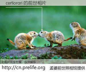 #孟婆前世照相馆# 【certiorari 的前世相片】我们都曾从奈何桥上走过，喝下三碗忘川之水烹煮的孟婆汤，忘却了前尘旧事。孟婆前世照相馆，保存着你前世的数码相片。certiorari 的前世相片，有图有真相：