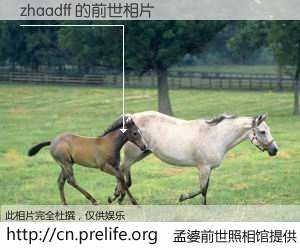 #孟婆前世照相馆# 【zhaadff 的前世相片】我们都曾从奈何桥上走过，喝下三碗忘川之水烹煮的孟婆汤，忘却了前尘旧事。孟婆前世照相馆，保存着你前世的数码相片。zhaadff 的前世相片，有图有真相：