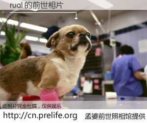 #孟婆前世照相馆# 【rual 的前世相片】我们都曾从奈何桥上走过，喝下三碗忘川之水烹煮的孟婆汤，忘却了前尘旧事。孟婆前世照相馆，保存着你前世的数码相片。rual 的前世相片，有图有真相：