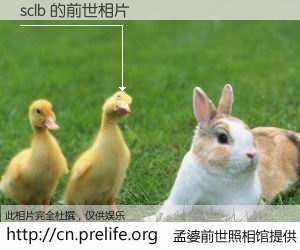 #孟婆前世照相馆# 【sclb 的前世相片】我们都曾从奈何桥上走过，喝下三碗忘川之水烹煮的孟婆汤，忘却了前尘旧事。孟婆前世照相馆，保存着你前世的数码相片。sclb 的前世相片，有图有真相：