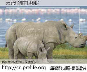 #孟婆前世照相馆# 【sdsfd 的前世相片】我们都曾从奈何桥上走过，喝下三碗忘川之水烹煮的孟婆汤，忘却了前尘旧事。孟婆前世照相馆，保存着你前世的数码相片。sdsfd 的前世相片，有图有真相：