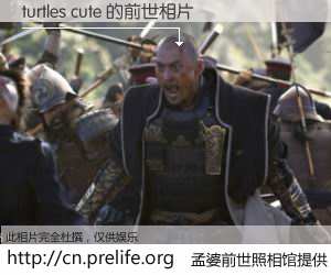 #孟婆前世照相馆# 【turtles cute 的前世相片】我们都曾从奈何桥上走过，喝下三碗忘川之水烹煮的孟婆汤，忘却了前尘旧事。孟婆前世照相馆，保存着你前世的数码相片。turtles cute 的前世相片，有图有真相：