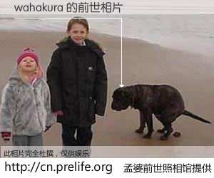 #孟婆前世照相馆# 【wahakura 的前世相片】我们都曾从奈何桥上走过，喝下三碗忘川之水烹煮的孟婆汤，忘却了前尘旧事。孟婆前世照相馆，保存着你前世的数码相片。wahakura 的前世相片，有图有真相：
