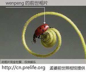 #孟婆前世照相馆# 【wenpeng 的前世相片】我们都曾从奈何桥上走过，喝下三碗忘川之水烹煮的孟婆汤，忘却了前尘旧事。孟婆前世照相馆，保存着你前世的数码相片。wenpeng 的前世相片，有图有真相：