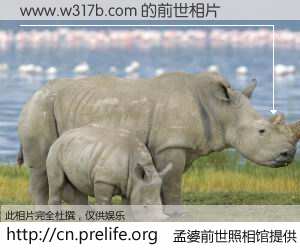 #孟婆前世照相馆# 【www.w317b.com 的前世相片】我们都曾从奈何桥上走过，喝下三碗忘川之水烹煮的孟婆汤，忘却了前尘旧事。孟婆前世照相馆，保存着你前世的数码相片。www.w317b.com 的前世相片，有图有真相：