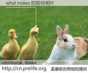 #孟婆前世照相馆# 【what makes 的前世相片】我们都曾从奈何桥上走过，喝下三碗忘川之水烹煮的孟婆汤，忘却了前尘旧事。孟婆前世照相馆，保存着你前世的数码相片。what makes 的前世相片，有图有真相：