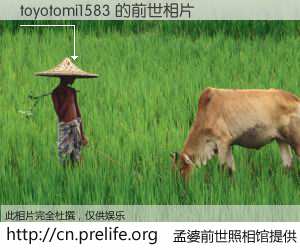 #孟婆前世照相馆# 【toyotomi1583 的前世相片】我们都曾从奈何桥上走过，喝下三碗忘川之水烹煮的孟婆汤，忘却了前尘旧事。孟婆前世照相馆，保存着你前世的数码相片。toyotomi1583 的前世相片，有图有真相：