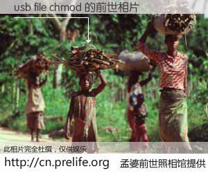 #孟婆前世照相馆# 【usb file chmod 的前世相片】我们都曾从奈何桥上走过，喝下三碗忘川之水烹煮的孟婆汤，忘却了前尘旧事。孟婆前世照相馆，保存着你前世的数码相片。usb file chmod 的前世相片，有图有真相：