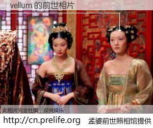 #孟婆前世照相馆# 【vellum 的前世相片】我们都曾从奈何桥上走过，喝下三碗忘川之水烹煮的孟婆汤，忘却了前尘旧事。孟婆前世照相馆，保存着你前世的数码相片。vellum 的前世相片，有图有真相：