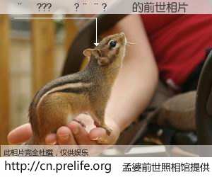 #孟婆前世照相馆# 【��???��?��?�� 的前世相片】我们都曾从奈何桥上走过，喝下三碗忘川之水烹煮的孟婆汤，忘却了前尘旧事。孟婆前世照相馆，保存着你前世的数码相片。��???��?��?�� 的前世相片，有图有真相：