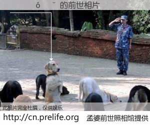 #孟婆前世照相馆# 【���� 的前世相片】我们都曾从奈何桥上走过，喝下三碗忘川之水烹煮的孟婆汤，忘却了前尘旧事。孟婆前世照相馆，保存着你前世的数码相片。���� 的前世相片，有图有真相：