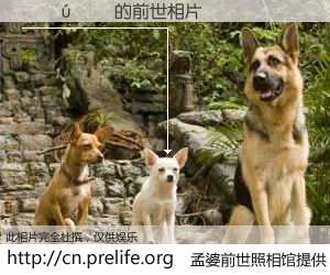 #孟婆前世照相馆# 【�޹��� 的前世相片】我们都曾从奈何桥上走过，喝下三碗忘川之水烹煮的孟婆汤，忘却了前尘旧事。孟婆前世照相馆，保存着你前世的数码相片。�޹��� 的前世相片，有图有真相：