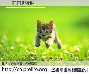 #孟婆前世照相馆# 【ʻ 的前世相片】我们都曾从奈何桥上走过，喝下三碗忘川之水烹煮的孟婆汤，忘却了前尘旧事。孟婆前世照相馆，保存着你前世的数码相片。ʻ 的前世相片，有图有真相：