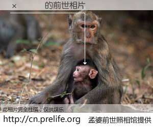 #孟婆前世照相馆# 【���㻪 的前世相片】我们都曾从奈何桥上走过，喝下三碗忘川之水烹煮的孟婆汤，忘却了前尘旧事。孟婆前世照相馆，保存着你前世的数码相片。���㻪 的前世相片，有图有真相：