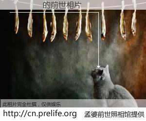 #孟婆前世照相馆# 【Ҧ˼�� 的前世相片】我们都曾从奈何桥上走过，喝下三碗忘川之水烹煮的孟婆汤，忘却了前尘旧事。孟婆前世照相馆，保存着你前世的数码相片。Ҧ˼�� 的前世相片，有图有真相：