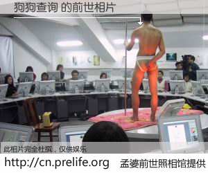 #孟婆前世照相馆# 【狗狗查询 的前世相片】我们都曾从奈何桥上走过，喝下三碗忘川之水烹煮的孟婆汤，忘却了前尘旧事。孟婆前世照相馆，保存着你前世的数码相片。狗狗查询 的前世相片，有图有真相：