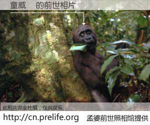 #孟婆前世照相馆# 【童威諭 的前世相片】我们都曾从奈何桥上走过，喝下三碗忘川之水烹煮的孟婆汤，忘却了前尘旧事。孟婆前世照相馆，保存着你前世的数码相片。童威諭 的前世相片，有图有真相：