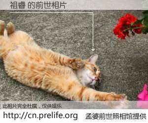 #孟婆前世照相馆# 【祖睿 的前世相片】我们都曾从奈何桥上走过，喝下三碗忘川之水烹煮的孟婆汤，忘却了前尘旧事。孟婆前世照相馆，保存着你前世的数码相片。祖睿 的前世相片，有图有真相：