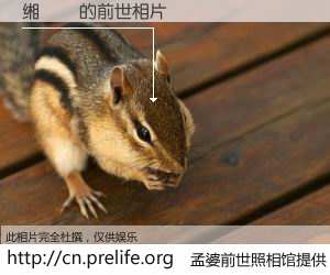 #孟婆前世照相馆# 【缃楁槶 的前世相片】我们都曾从奈何桥上走过，喝下三碗忘川之水烹煮的孟婆汤，忘却了前尘旧事。孟婆前世照相馆，保存着你前世的数码相片。缃楁槶 的前世相片，有图有真相：