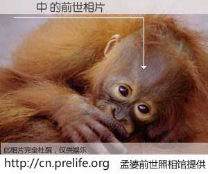 #孟婆前世照相馆# 【許贏中 的前世相片】我们都曾从奈何桥上走过，喝下三碗忘川之水烹煮的孟婆汤，忘却了前尘旧事。孟婆前世照相馆，保存着你前世的数码相片。許贏中 的前世相片，有图有真相：