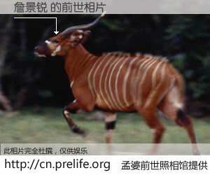 #孟婆前世照相馆# 【詹景锐 的前世相片】我们都曾从奈何桥上走过，喝下三碗忘川之水烹煮的孟婆汤，忘却了前尘旧事。孟婆前世照相馆，保存着你前世的数码相片。詹景锐 的前世相片，有图有真相：