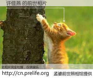 #孟婆前世照相馆# 【许佳燕 的前世相片】我们都曾从奈何桥上走过，喝下三碗忘川之水烹煮的孟婆汤，忘却了前尘旧事。孟婆前世照相馆，保存着你前世的数码相片。许佳燕 的前世相片，有图有真相：