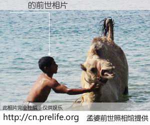 #孟婆前世照相馆# 【賴報 的前世相片】我们都曾从奈何桥上走过，喝下三碗忘川之水烹煮的孟婆汤，忘却了前尘旧事。孟婆前世照相馆，保存着你前世的数码相片。賴報 的前世相片，有图有真相：