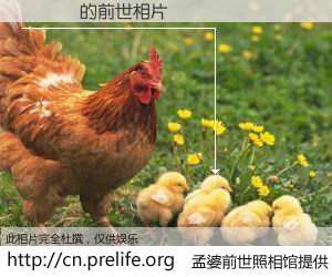 #孟婆前世照相馆# 【鍐竾 的前世相片】我们都曾从奈何桥上走过，喝下三碗忘川之水烹煮的孟婆汤，忘却了前尘旧事。孟婆前世照相馆，保存着你前世的数码相片。鍐竾 的前世相片，有图有真相：