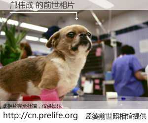 #孟婆前世照相馆# 【邝伟成 的前世相片】我们都曾从奈何桥上走过，喝下三碗忘川之水烹煮的孟婆汤，忘却了前尘旧事。孟婆前世照相馆，保存着你前世的数码相片。邝伟成 的前世相片，有图有真相：