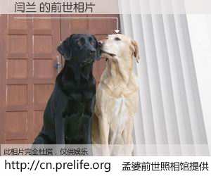 #孟婆前世照相馆# 【闫兰 的前世相片】我们都曾从奈何桥上走过，喝下三碗忘川之水烹煮的孟婆汤，忘却了前尘旧事。孟婆前世照相馆，保存着你前世的数码相片。闫兰 的前世相片，有图有真相：