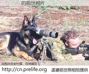 #孟婆前世照相馆# 【陳瑩駿 的前世相片】我们都曾从奈何桥上走过，喝下三碗忘川之水烹煮的孟婆汤，忘却了前尘旧事。孟婆前世照相馆，保存着你前世的数码相片。陳瑩駿 的前世相片，有图有真相：