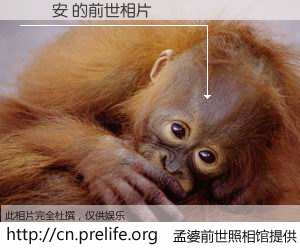 #孟婆前世照相馆# 【陳瓊安 的前世相片】我们都曾从奈何桥上走过，喝下三碗忘川之水烹煮的孟婆汤，忘却了前尘旧事。孟婆前世照相馆，保存着你前世的数码相片。陳瓊安 的前世相片，有图有真相：