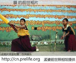 #孟婆前世照相馆# 【馬來貘 的前世相片】我们都曾从奈何桥上走过，喝下三碗忘川之水烹煮的孟婆汤，忘却了前尘旧事。孟婆前世照相馆，保存着你前世的数码相片。馬來貘 的前世相片，有图有真相：